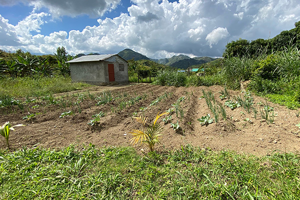 Haiti